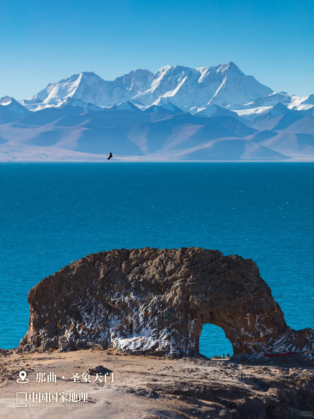 找不到答案的时候,就来一趟西藏🕊️