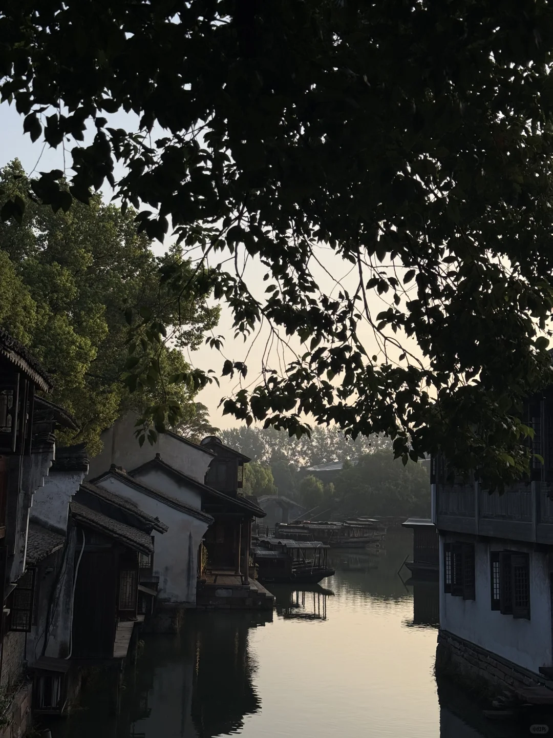 🇲🇾🇨🇳 旅游笔记｜我眼中的乌镇 🍃