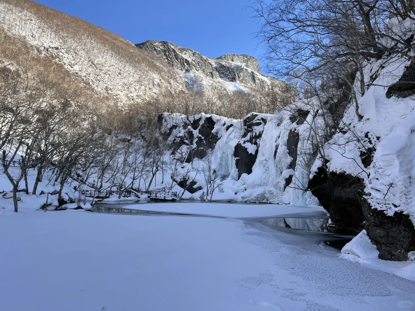 深圳出发哈尔滨七天旅游攻略!!超级详细