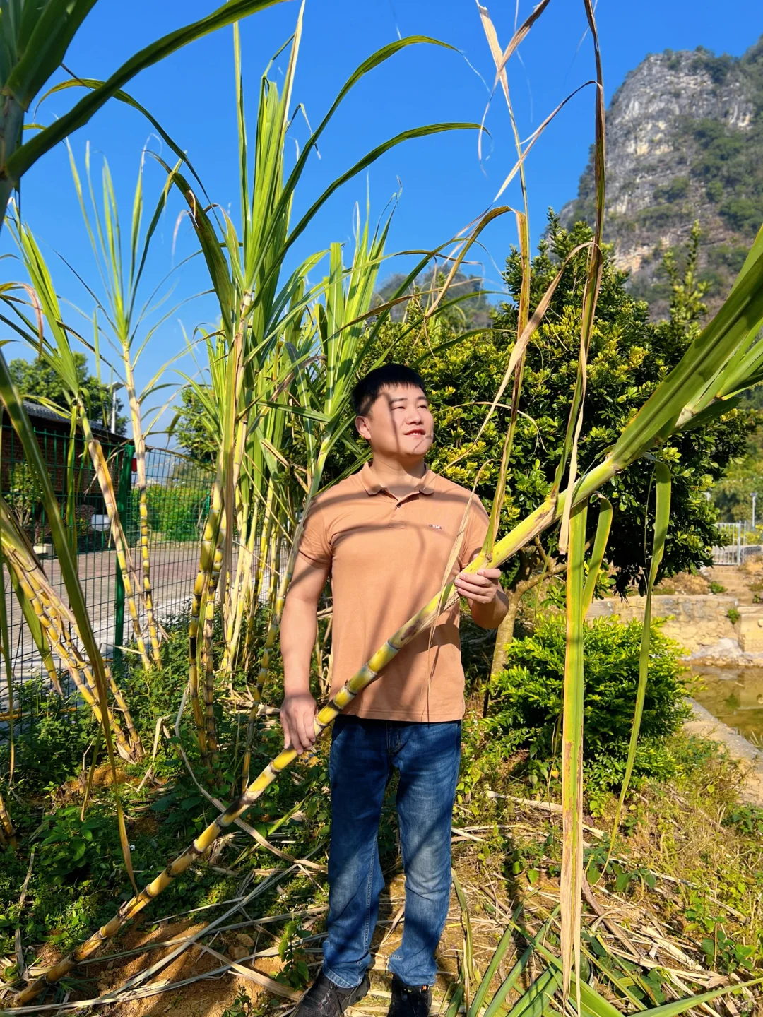 英西峰林私藏！古月山庄把山水画搬进民宿里