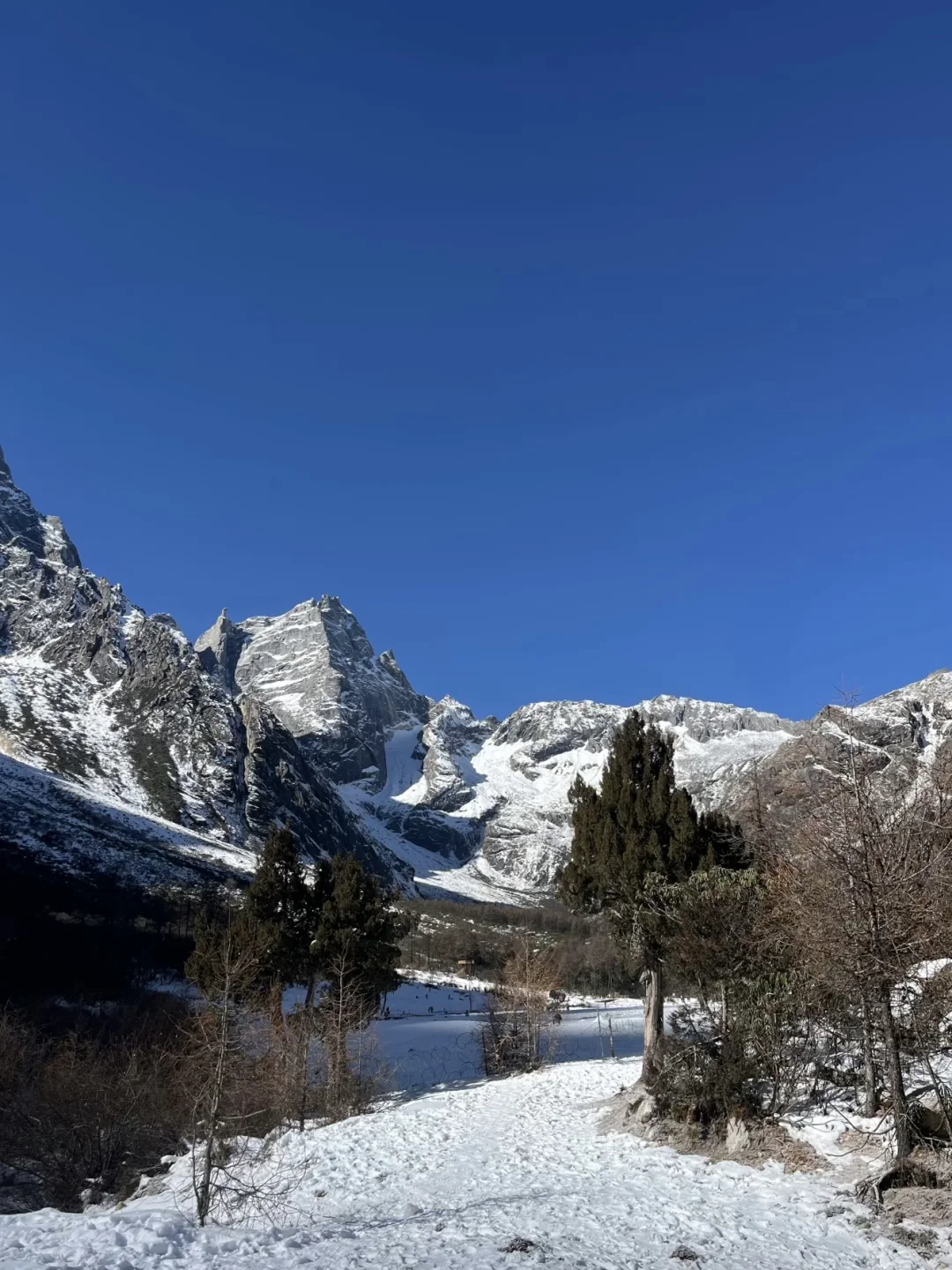 📍 毕棚沟下雪实况|188一日游成都免费接