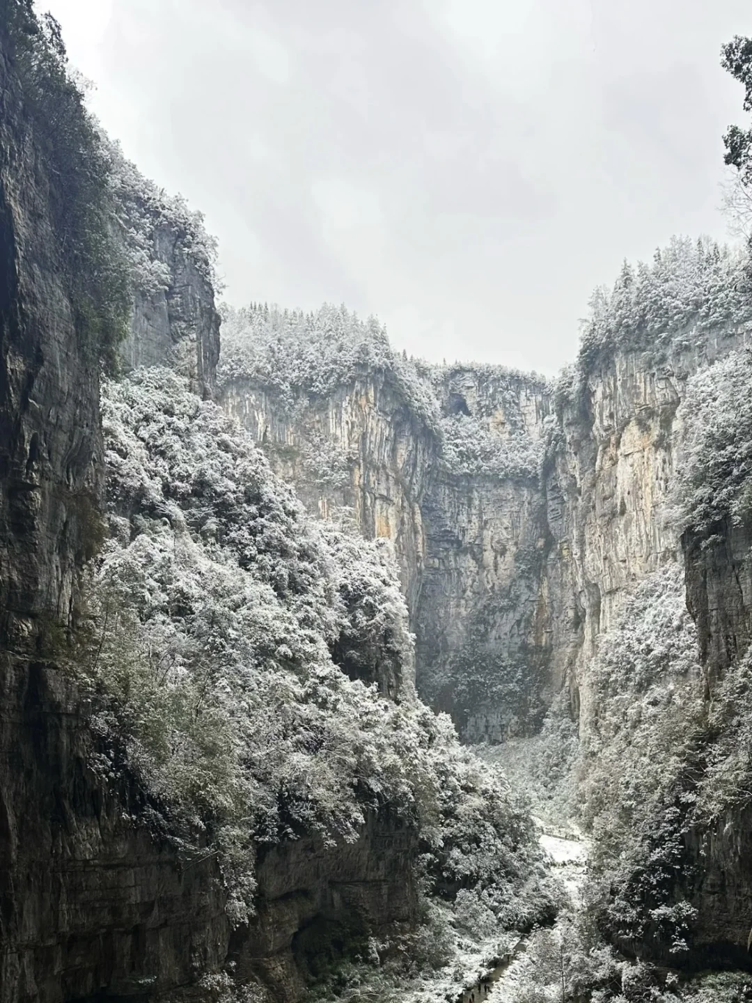 仙女山✘天生三桥 | 玩转冬日雪景+雾凇秘境