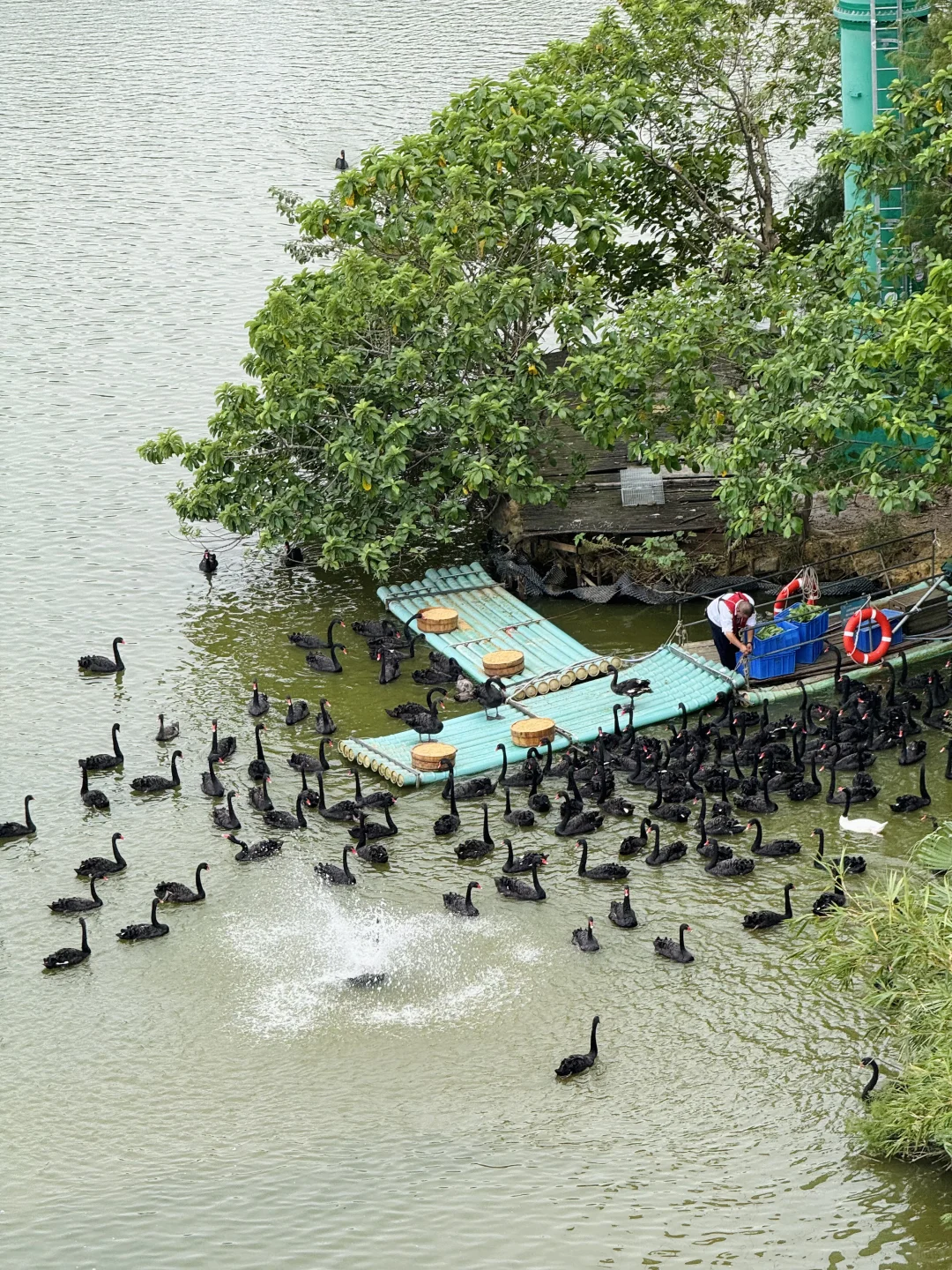 长隆野生动物世界太好玩了