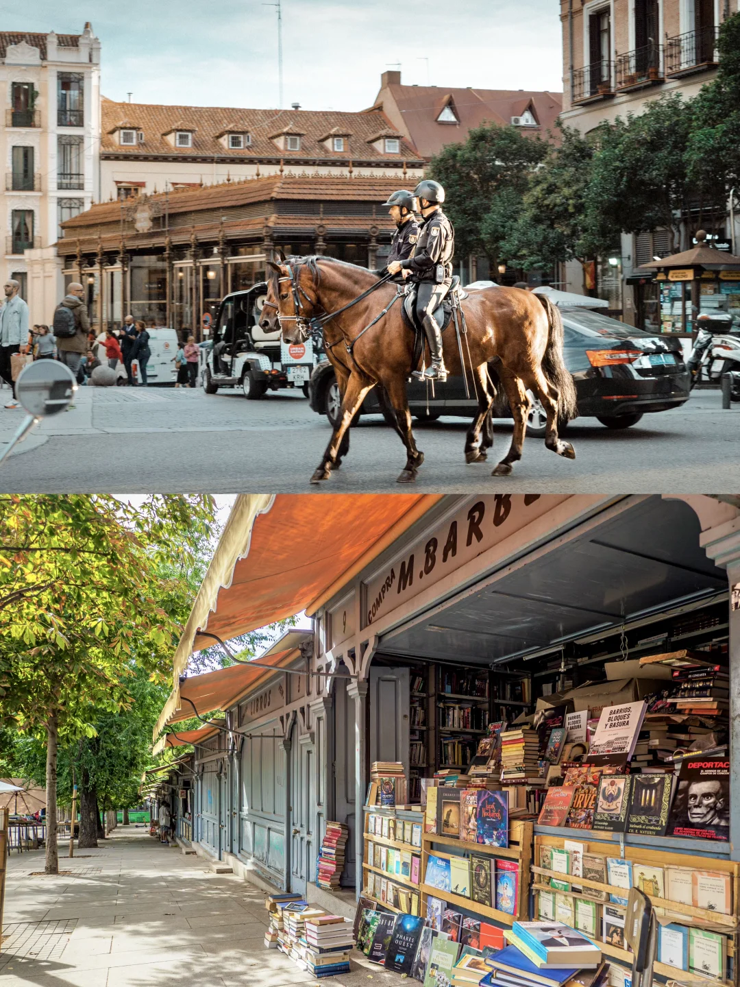 迄今为止，我最喜欢的旅游城市出现啦！