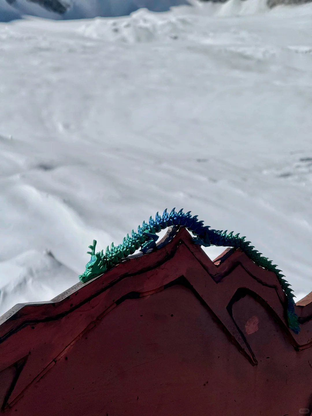 玉龙雪山➕云杉坪➕蓝月谷一日游