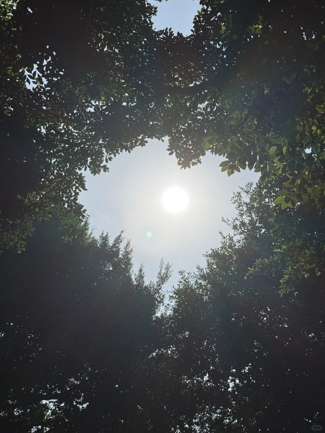 这是我来泉州旅游花的最值的一笔钱