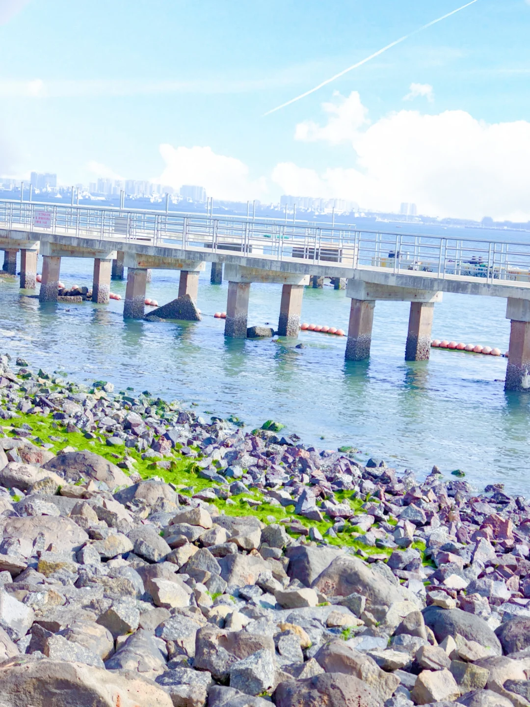 以为珠海很美了,直到我来了湛江