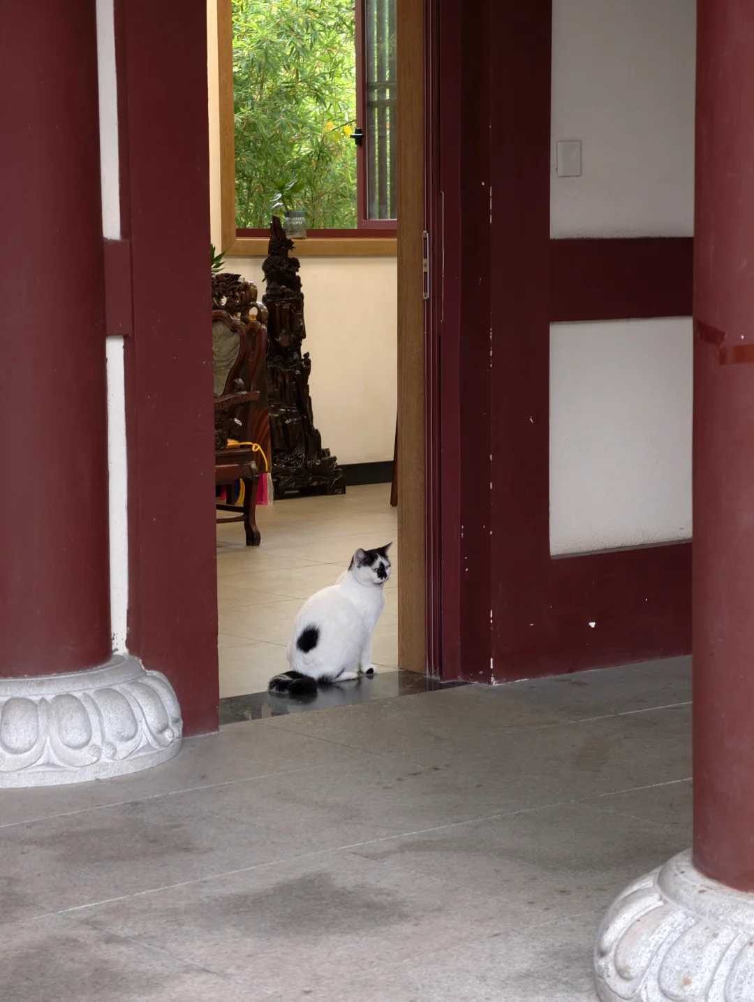 彭祖山轻松领取奖牌✊️鸡蛋＋1