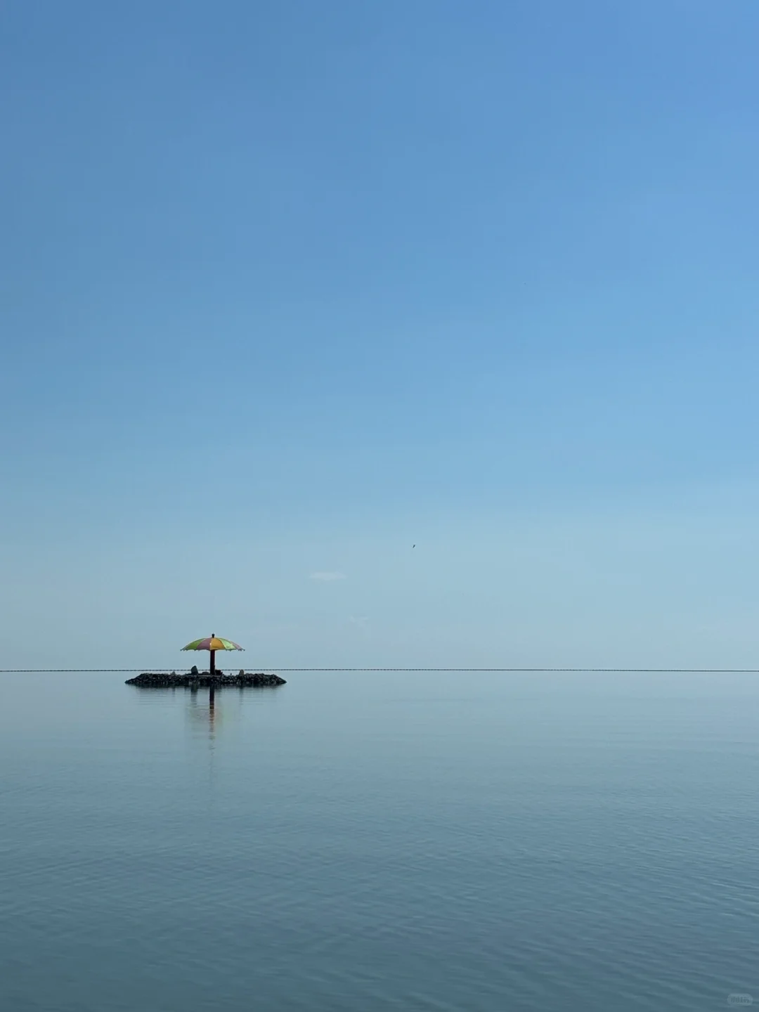 夏天总要去一次大草原吧🐎