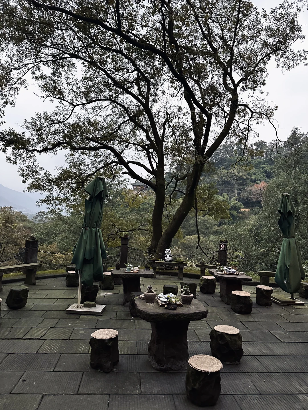花一个下午去领略都江堰的古韵与自然🍂⛰️