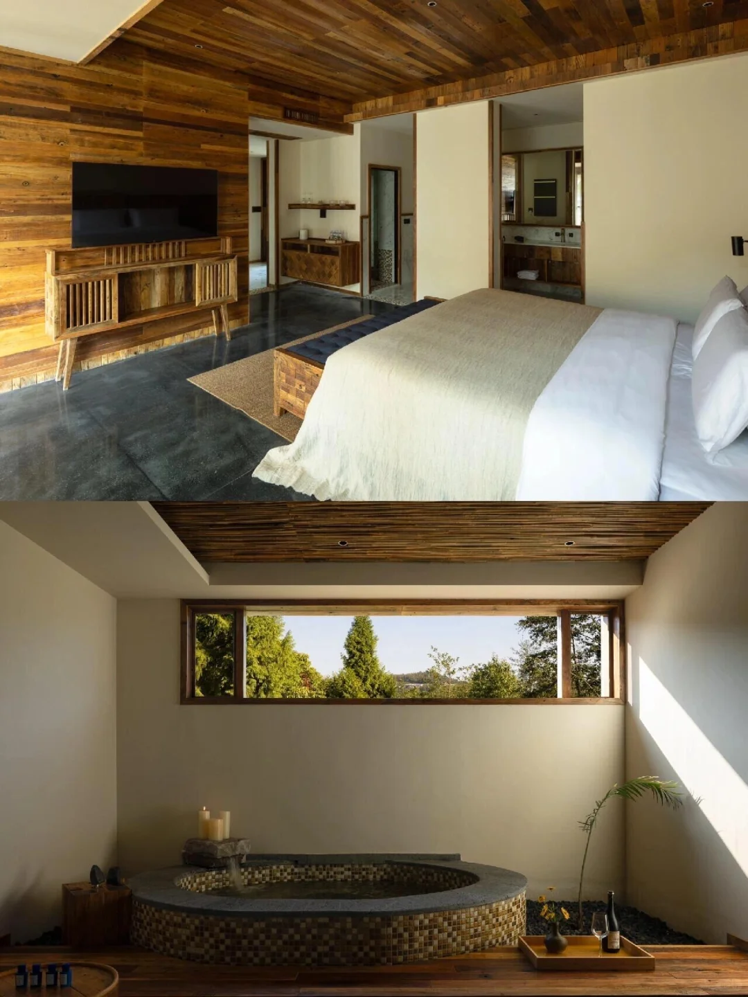 为了这国内唯一古银杏村,也要去一次腾冲‼️