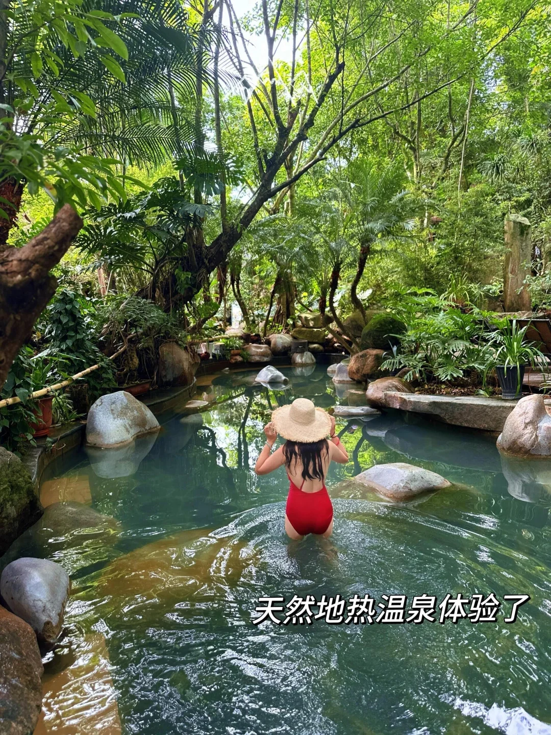 为了这国内唯一古银杏村,也要去一次腾冲‼️