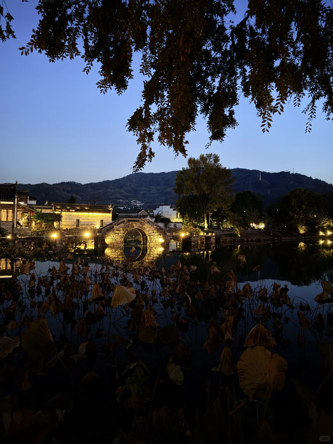 呈坎|你不用尽全力宣传你糊涂呀❗️❗️