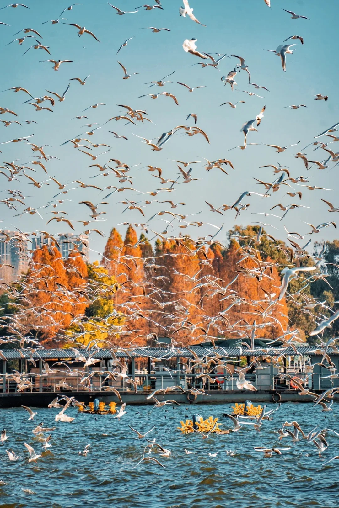 中国12大暖冬目的地❄一起过个20°的冬天