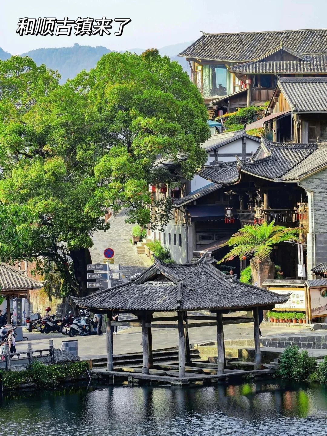 为了这国内唯一古银杏村,也要去一次腾冲‼️