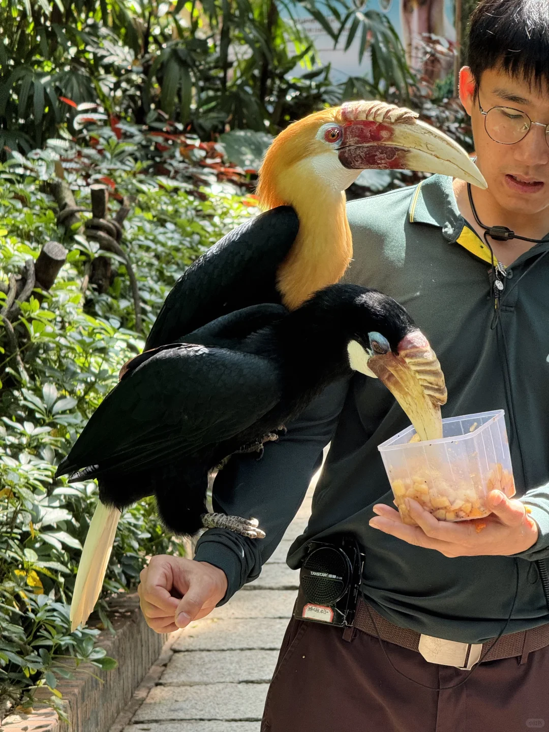 长隆野生动物世界太好玩了