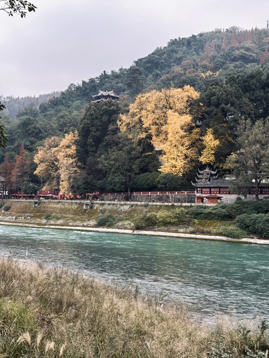 花一个下午去领略都江堰的古韵与自然🍂⛰️
