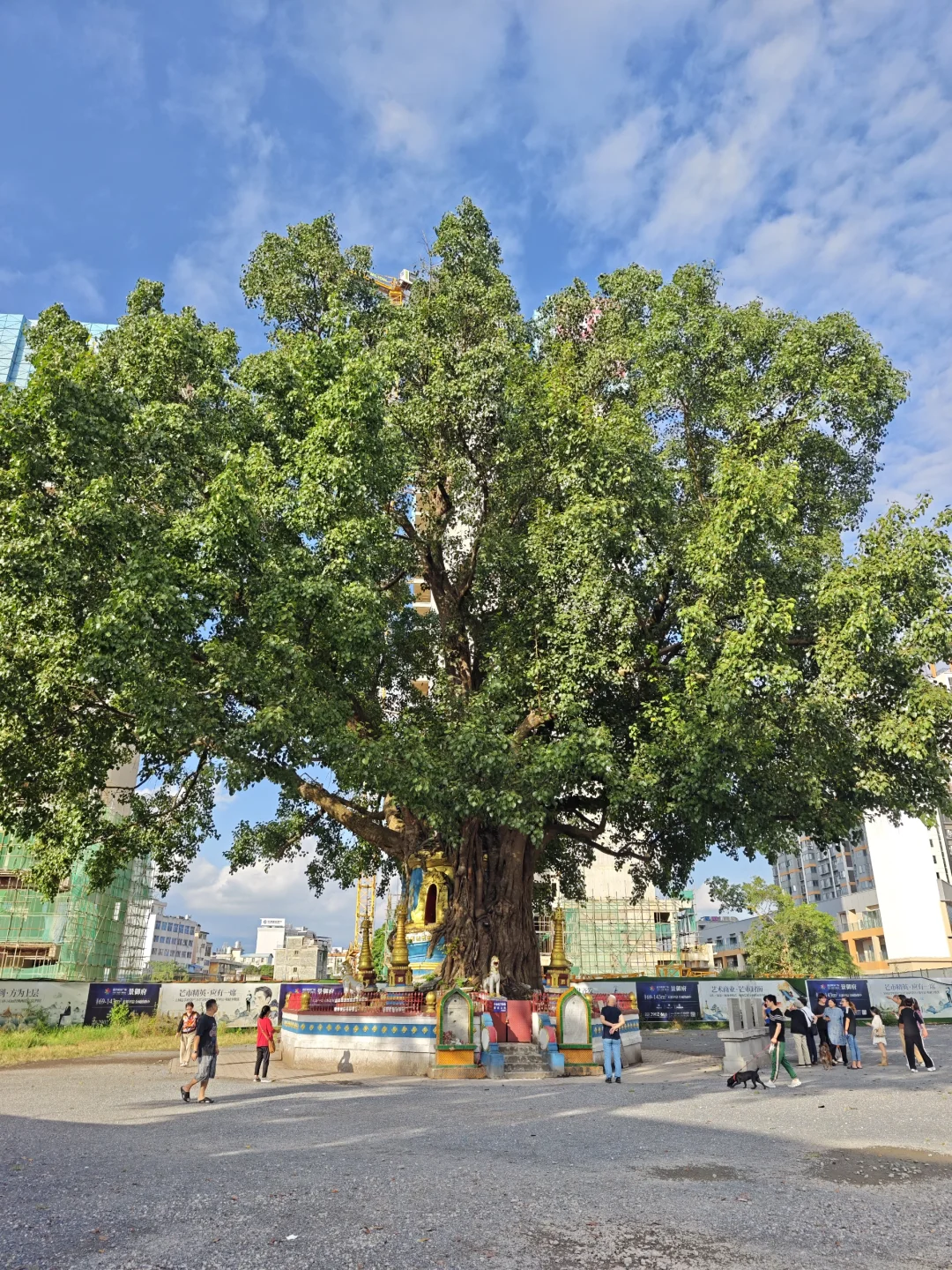 德宏州·芒市:一座不输版纳的边陲小城