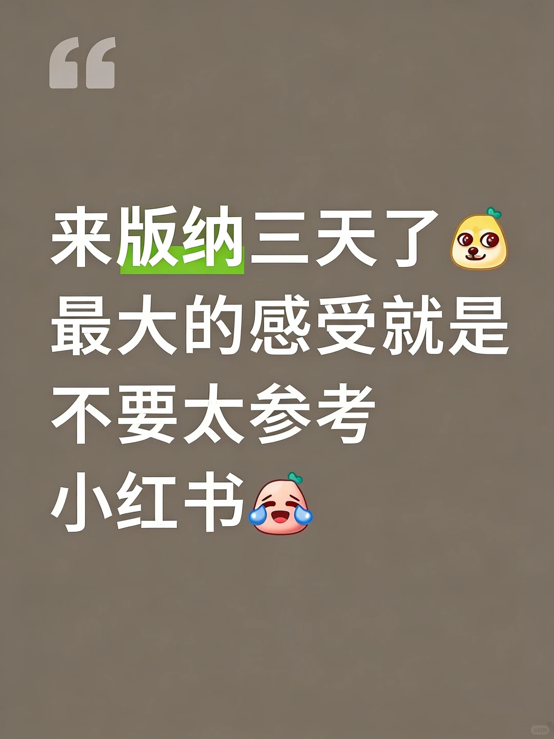 来了西双版纳才知道之前看的攻略有多吓人