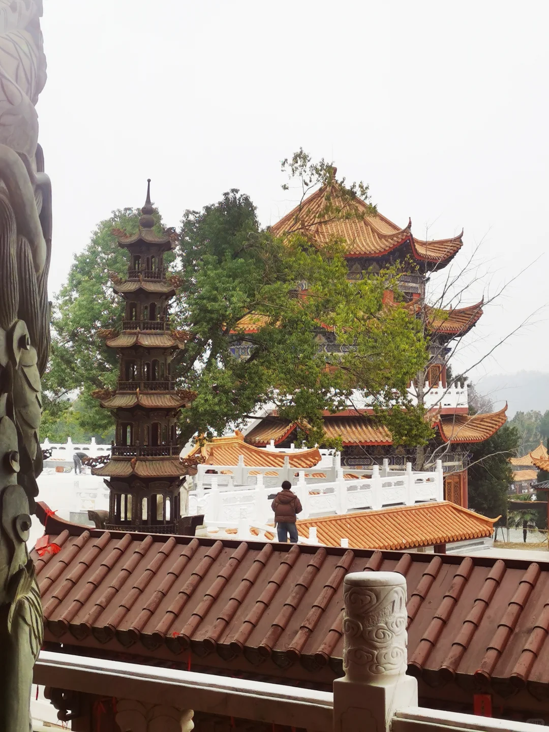 武汉徒步被问爆的小众治愈路线🌿古寺灵树