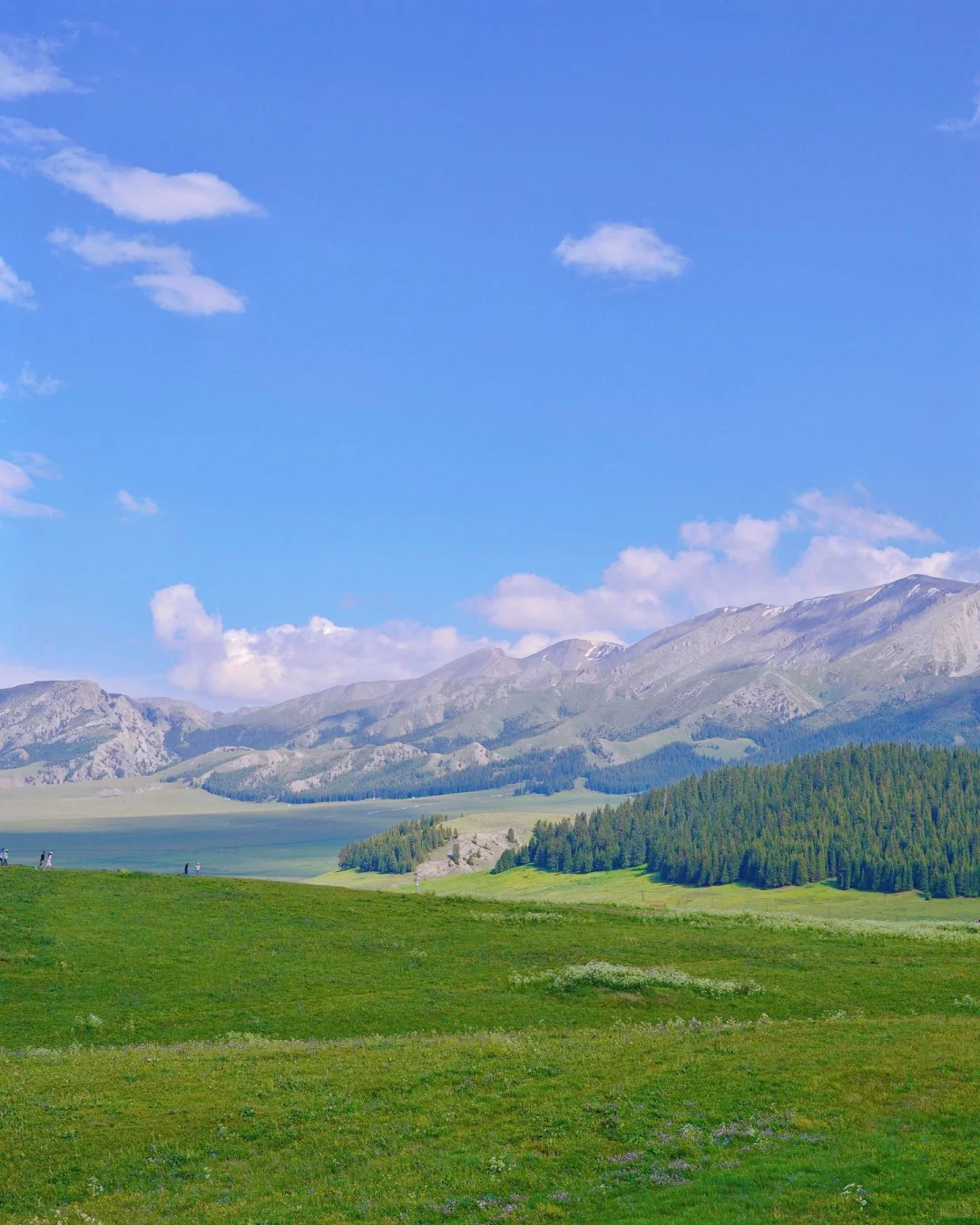 🇨🇳赛里木湖我来了,不白活(附深度游略)