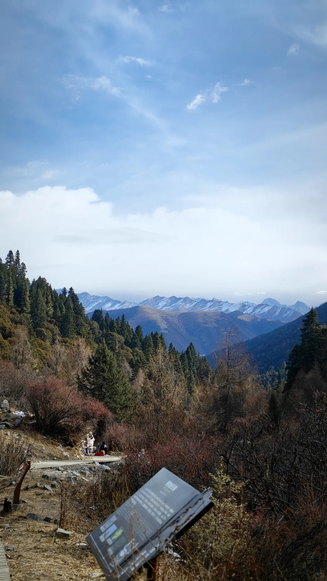 玛嘉沟才是带狗天堂吧