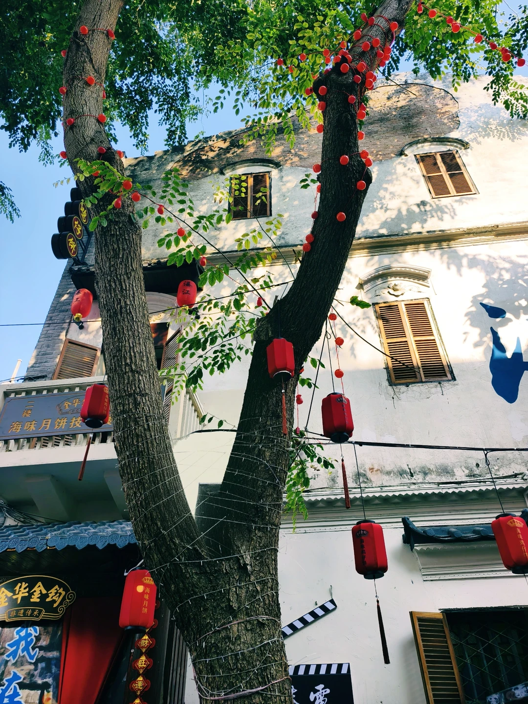 以为珠海很美了,直到我来了湛江