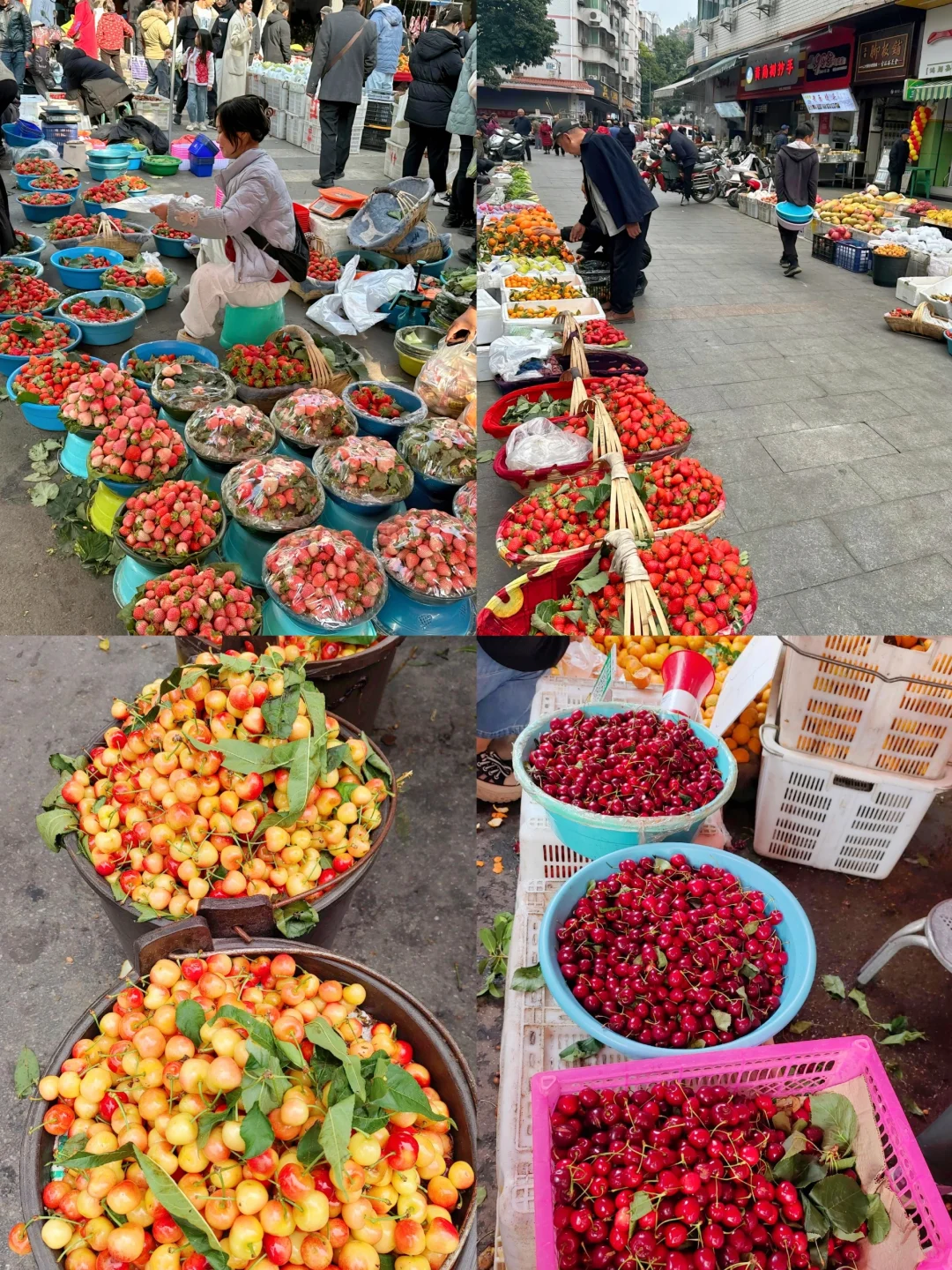 春节特辑:🌸攀枝花西昌米易5日游-冬季版