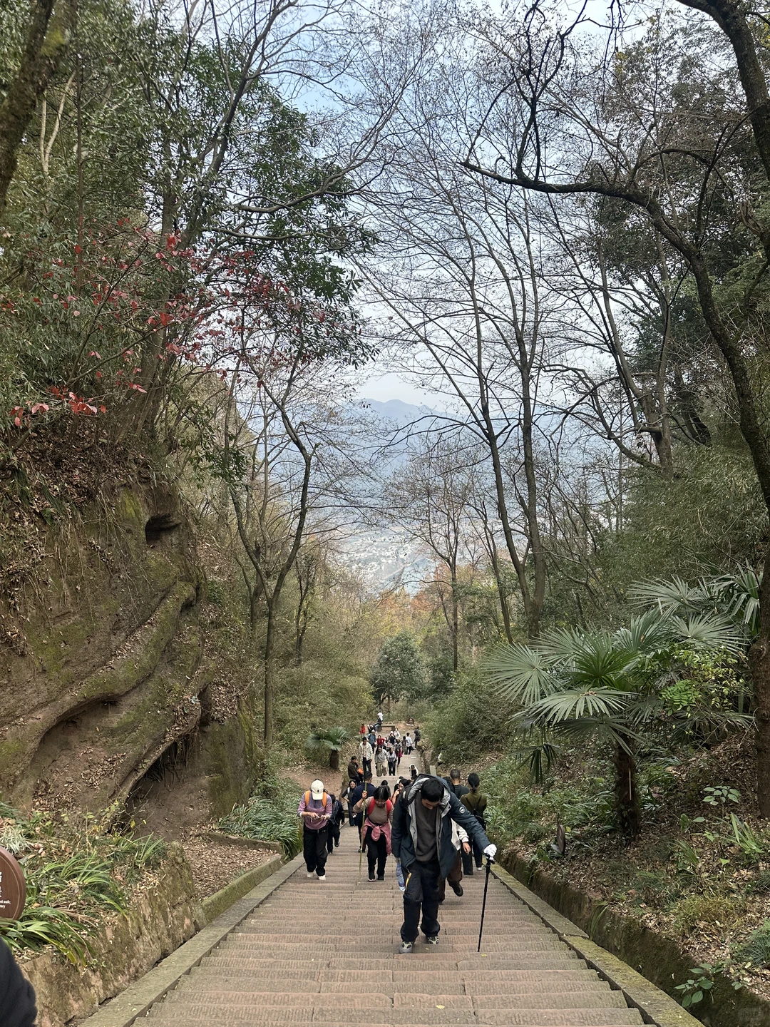 携退休选手首登齐云山⛰️