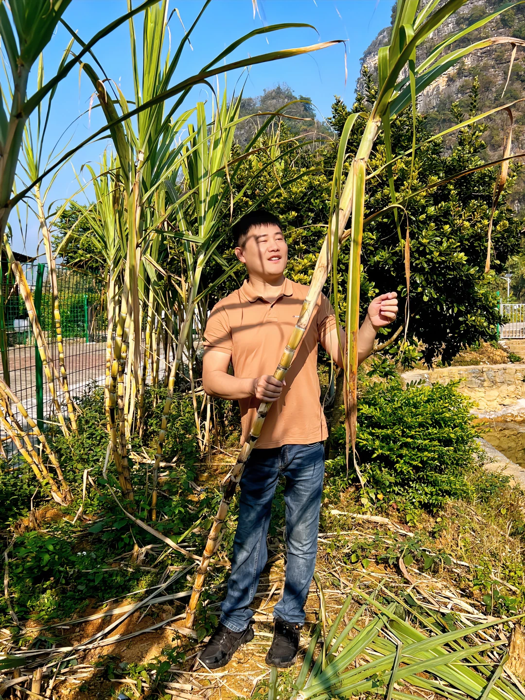 英西峰林私藏！古月山庄把山水画搬进民宿里