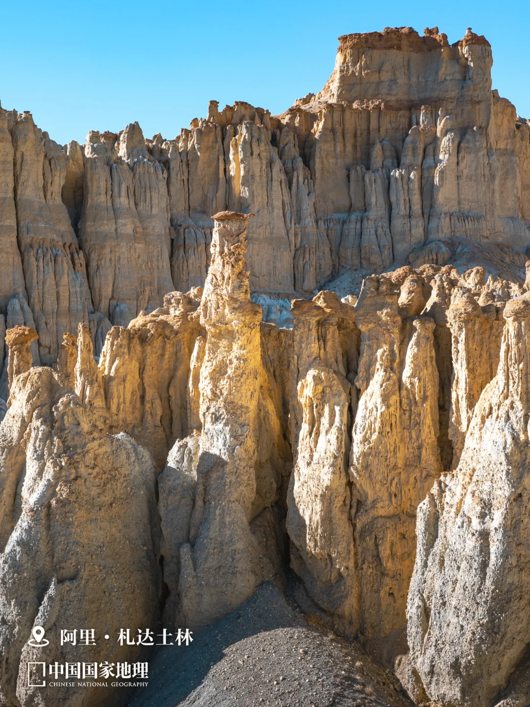 找不到答案的时候,就来一趟西藏🕊️
