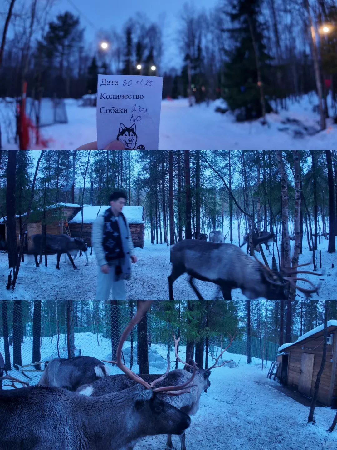 ✨俄罗斯10日三城记❄️这篇攻略超详细!