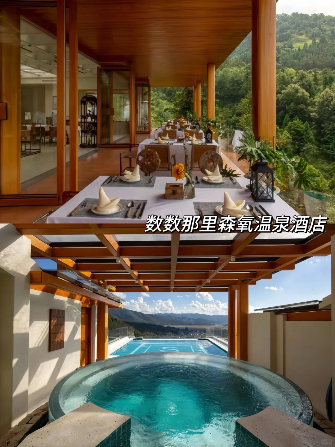 为了这国内唯一古银杏村,也要去一次腾冲‼️