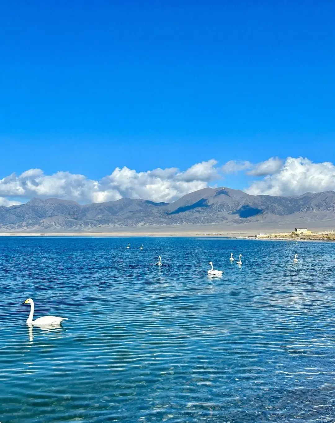 被誉为“大西洋的最后一滴眼泪”❤[点赞R]