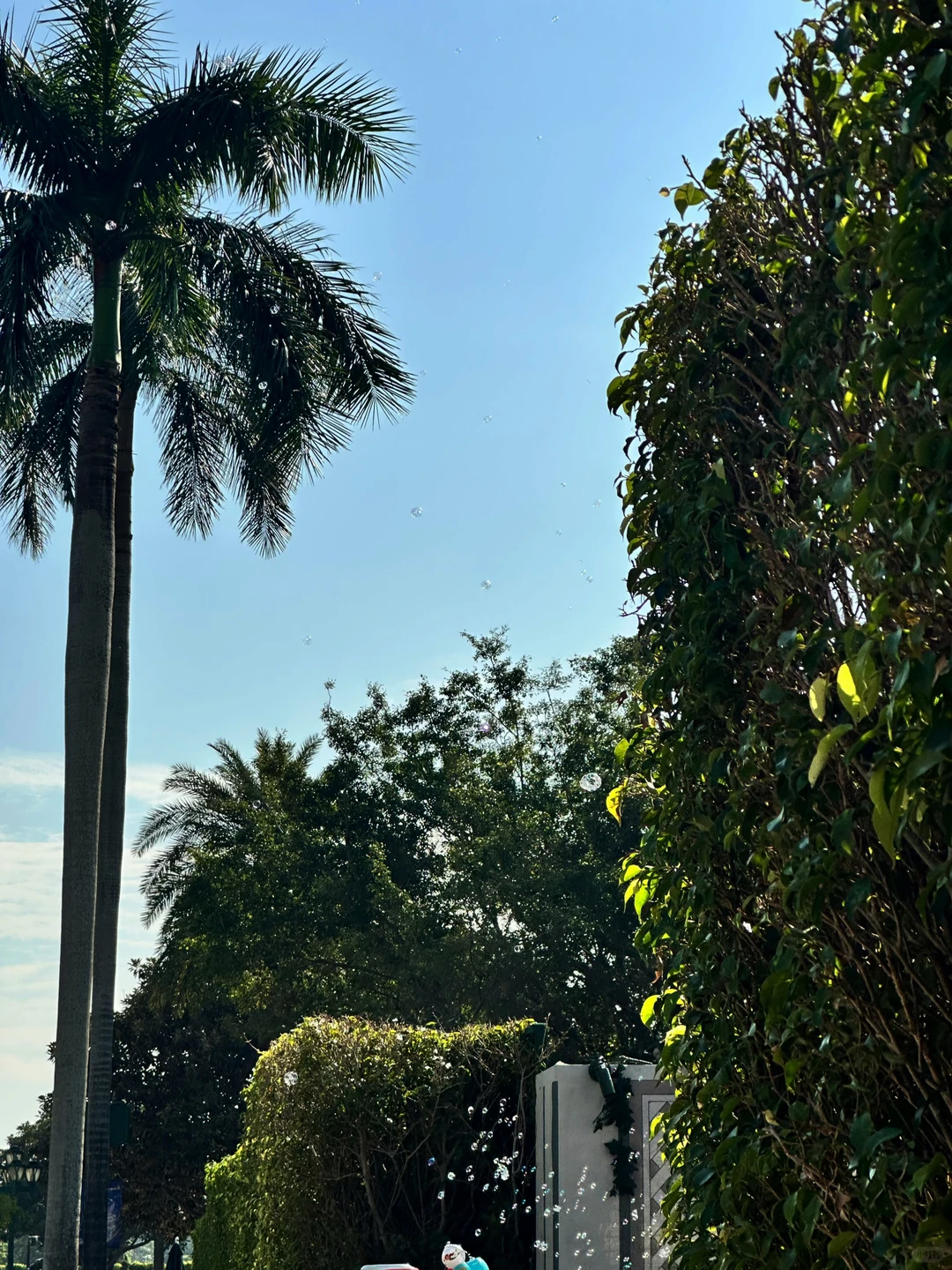 港迪这样玩半天就够啦|有些也没必要去