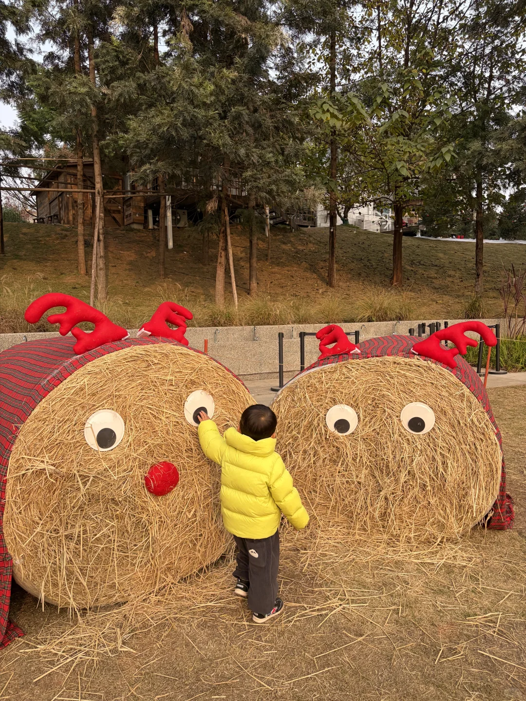 妈妈 快上车，我载你呀！