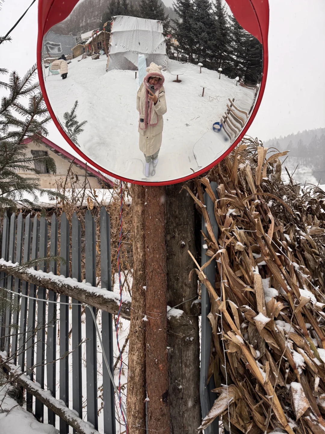 横道河子南方小土豆必冲