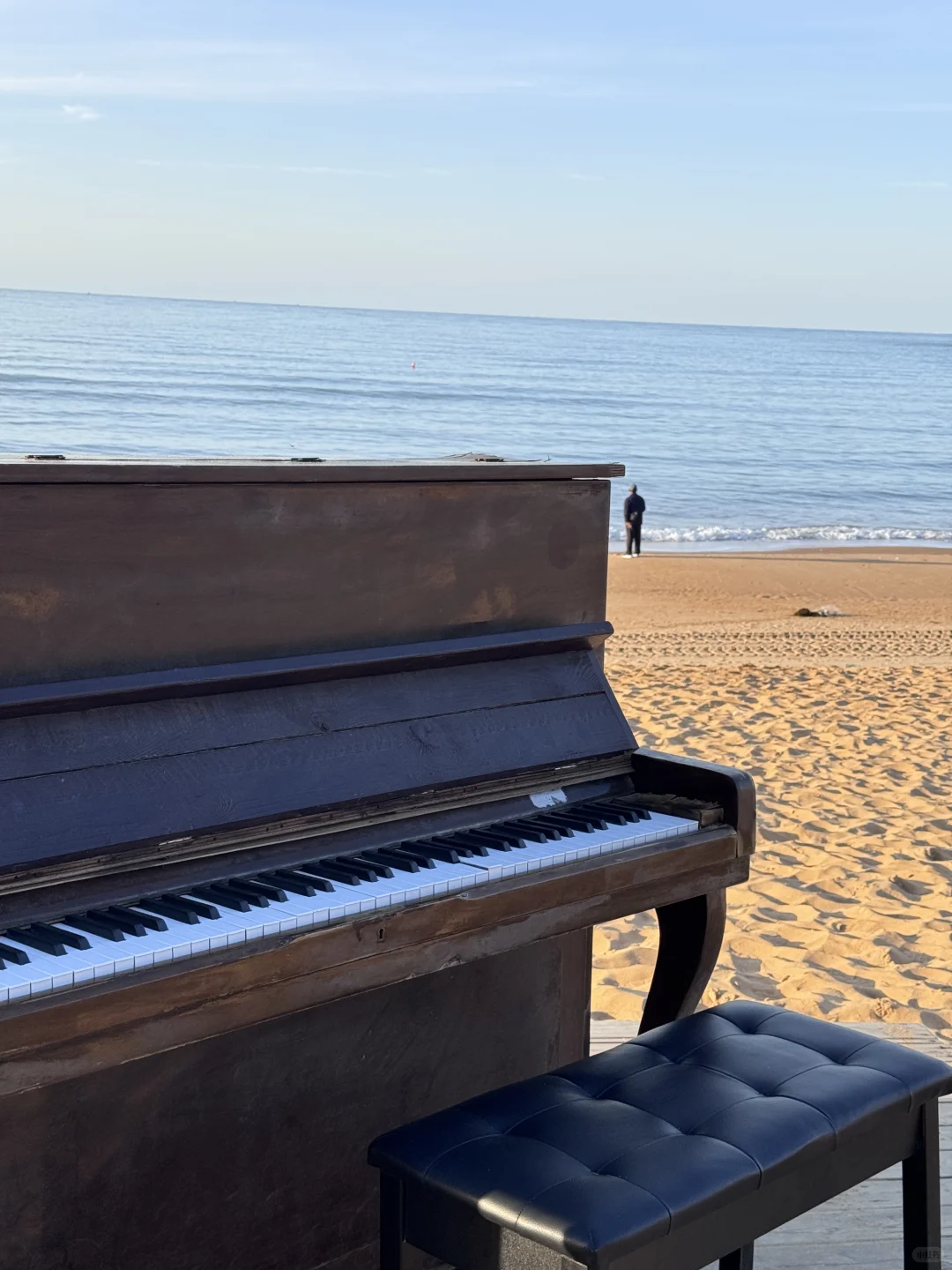 不去青岛,去威海吧🌊