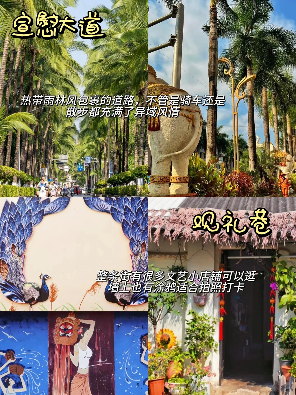 假期去哪玩❓️西双版纳12个休闲好去处‼️