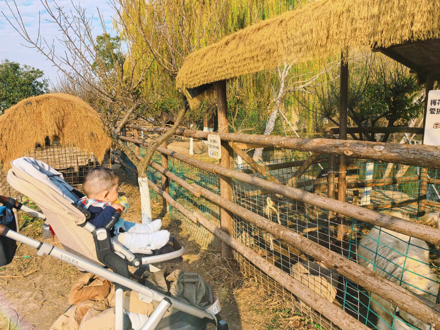 杭州开车1.5h的景区|太适合遛娃遛狗啦