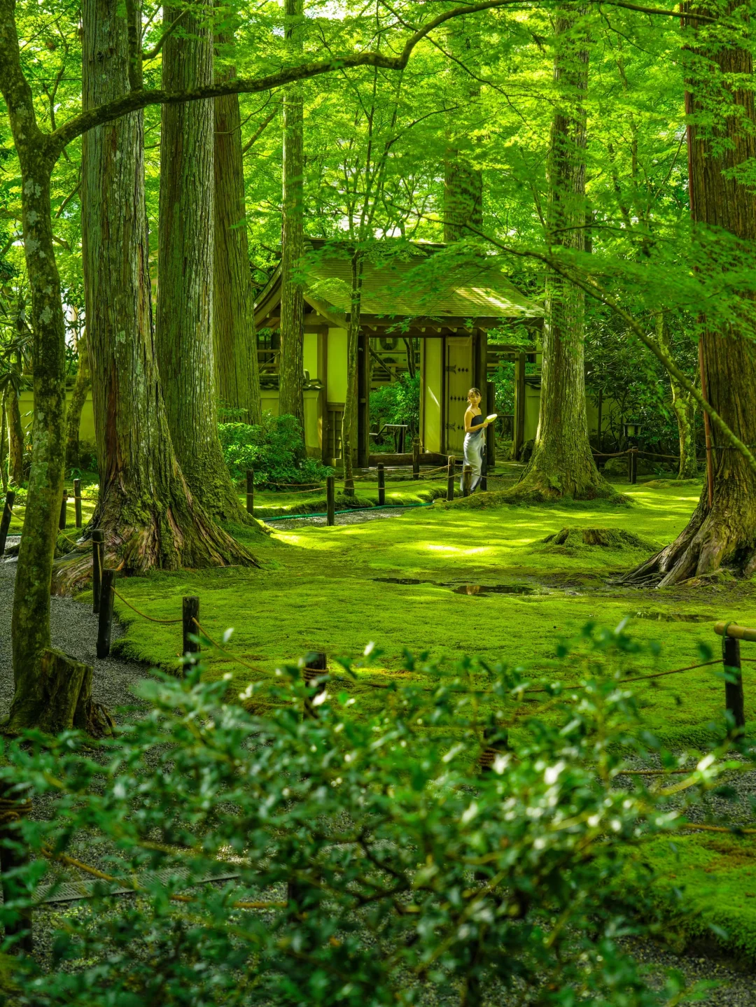 发朋友圈被问疯了！大阪京都拍的人生照片！