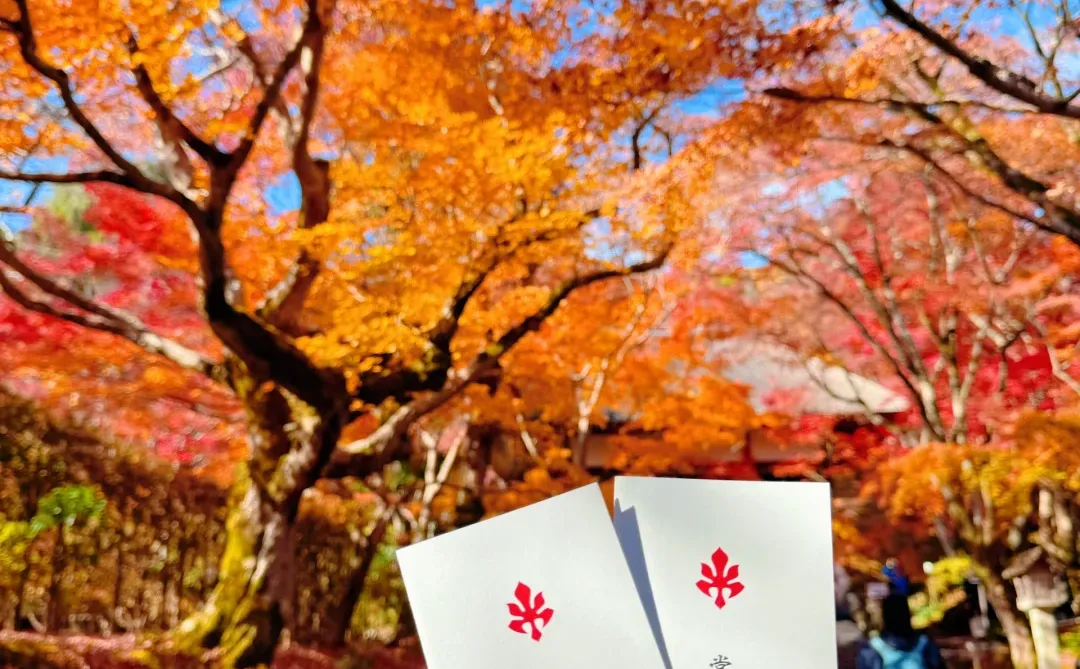 用实况打开红叶季🍁京都真的没有对手🍂