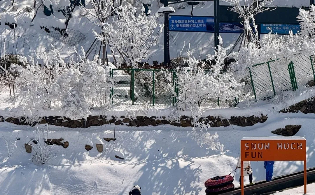 打工人必看❗️安吉冬天赏雪疗愈指南