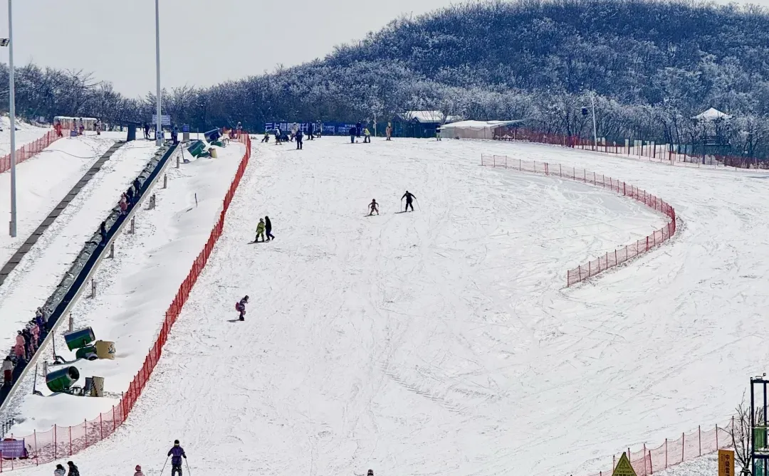 ❄️江浙沪冬季遛娃清单！四大目的地直接抄作