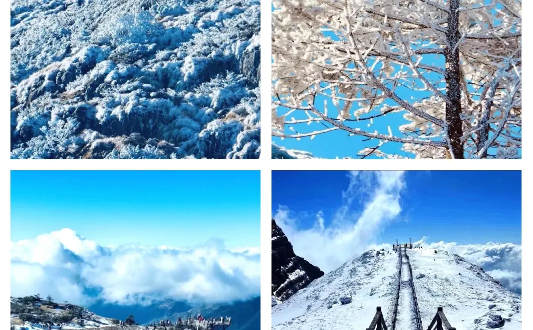 昆明直达！12月轿子雪山2天1夜攻略来啦