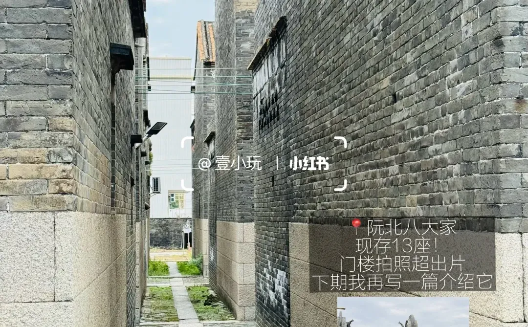 迄今为止❗️我最爱的佛山百年水上古村出现了