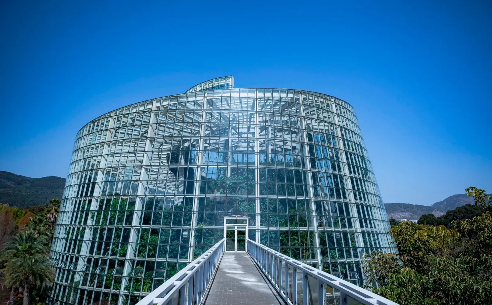 植物爱好者的天堂，昆明必玩景点扶荔宫攻略