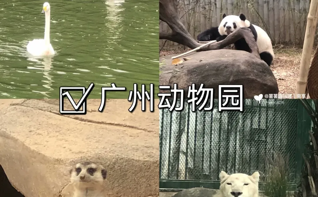 元旦出游看过来‼广州必去9大景点攻略🔥