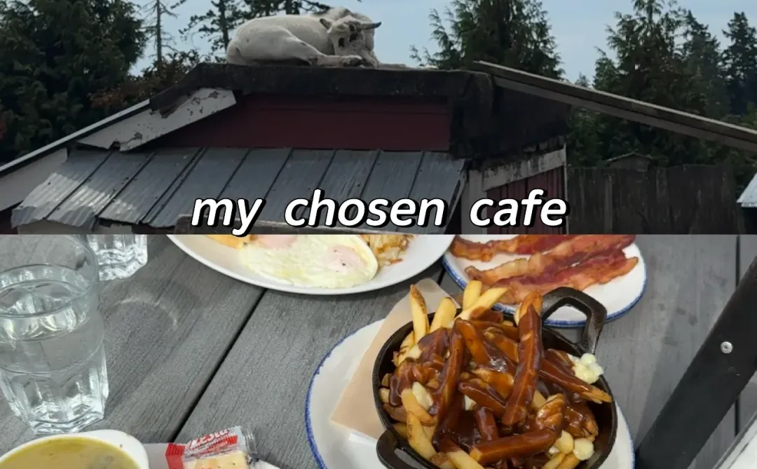 维多利亚🇨🇦🍂必去景点+周边游