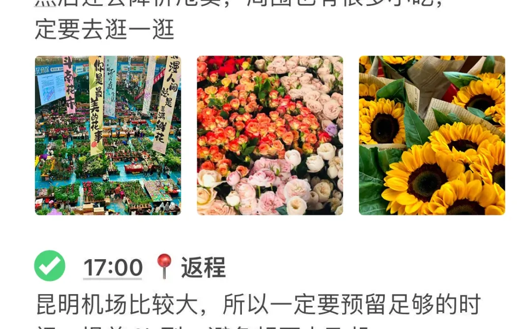 12.18📍云南已回12~2月来昆明玩的✨听劝